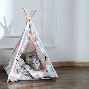 Keeping Your Cat Tent Cool and Comfy